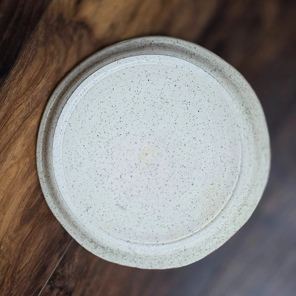 Handmade Pottery Stoneware Dinner Plate 9.5" Natural Earth Tones Artist Stamped